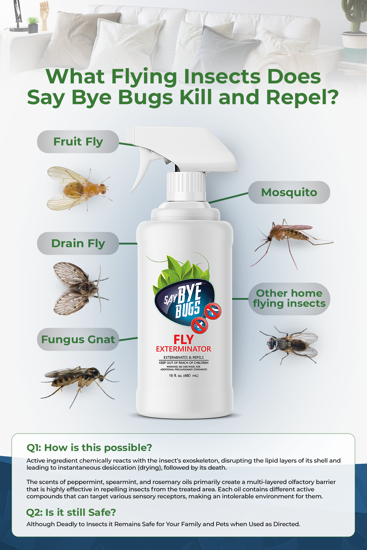 Bundle: 4x128oz+2x16oz Fly Exterminator, Say Bye Bugs