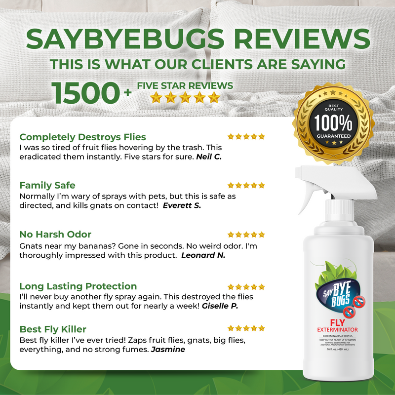 Say Bye Bugs Fly Extermination Spray.