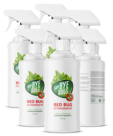 6x 16 oz SayByeBugs spray - SPECIAL PRICE!