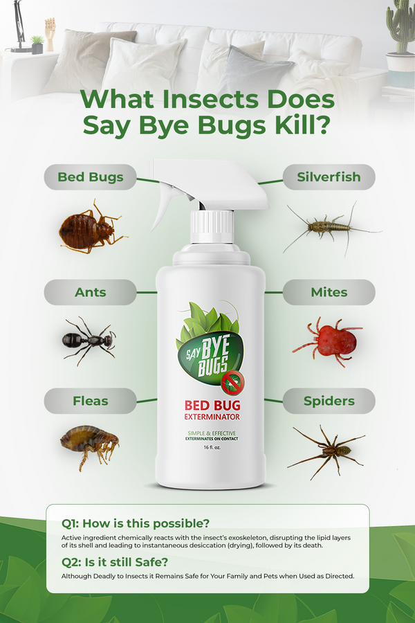 Say Bye Bugs Flea Extermination Spray New & Improved Formula