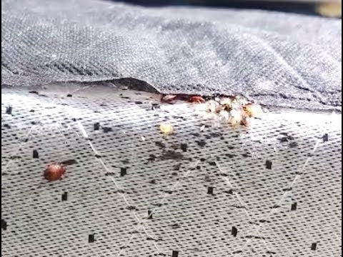 Customer Testimonial