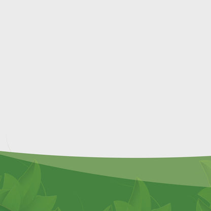 SayByeBugs Bed Bug Extermination Spray New & Improved Formula